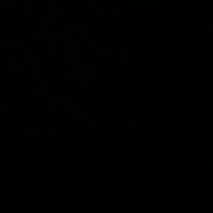 Meet your Posher, Alan